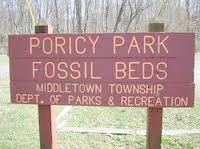 Site - Poricy Park Fossil Beds copy