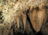 Site - Timpangnos Cave National Mon