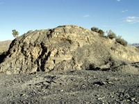 Site - u-dig fossils
