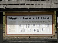 Site Fossil OR - Digging-Fossils-at-Fossil
