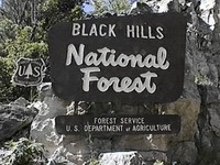 Specimen - Black Hills National Forest
