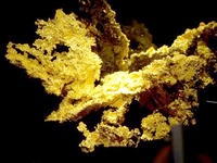 Specimen - Fricot Nugget
