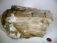 Specimen - Opalite