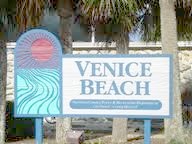Specimen - Venice Beach