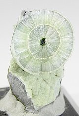Specimen - Wavellite