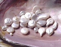 Tennessee - Gem tennessee river pearls