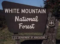 USFS White Mtn NF SIgn