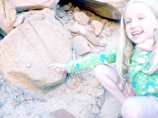 Zoe - Zion NP - Concretion